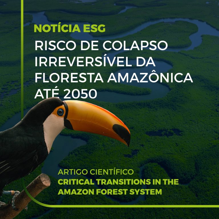 O fim da Amazônia? Estudo brasileiro alerta para o risco de colapso irreversível da floresta até 2050. 