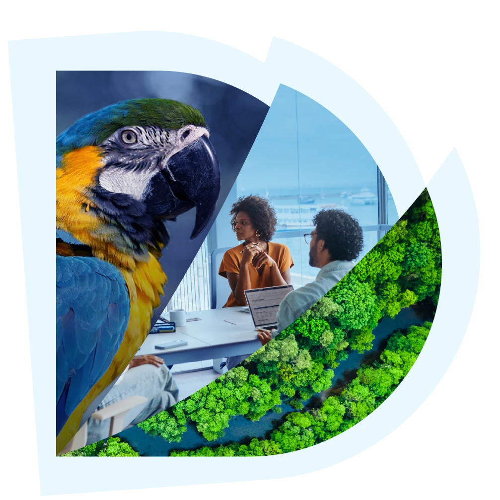 Ilustração representando sustentabilidade e ESG com arara-azul, pessoas trabalhando e floresta verde